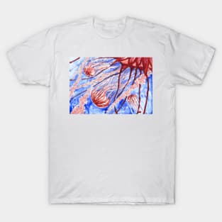 The Wonderful World of Jellyfish T-Shirt